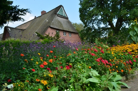 Flower Garden - blossoms, house, park, colors