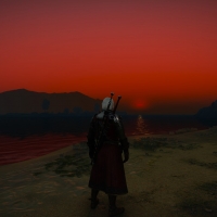 Witcher staring off into the sunset