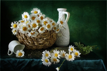 basket of lovely daisies