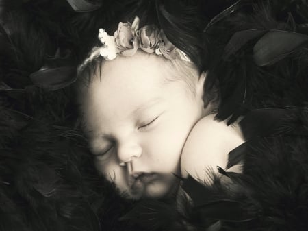 Sweetness - sleeping, baby, feathers, sweet, black and white