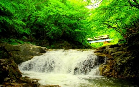 SPRING RIVER FALLS - falls, river, forrest, bridge, spring