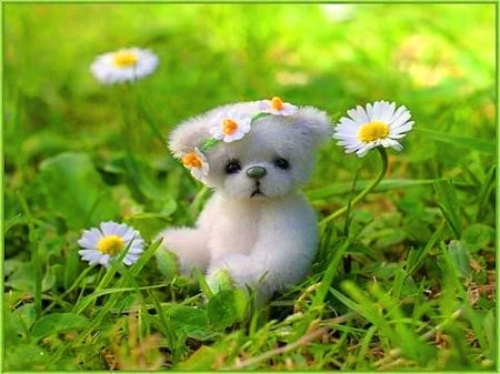 I need a friend - daisies, toy, teddy, grass