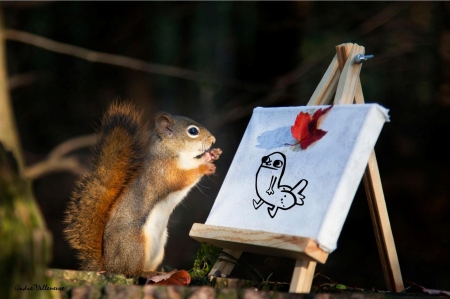 :) - photography, animal, squirrel, abstract