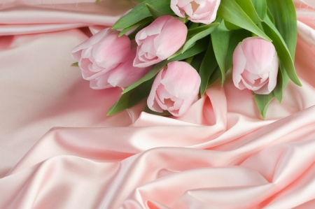 Tulips - tulips, sioft, flowers, pink