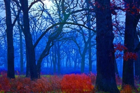 Blue forest with red leaves and flowers - flowers, leaves, forest, trees