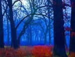 Blue forest with red leaves and flowers