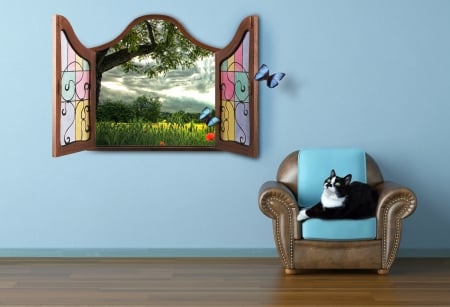 Watching a fairy tale - cat, creative, fantasy, chair, butterfly, window, situation, blue, green, animal