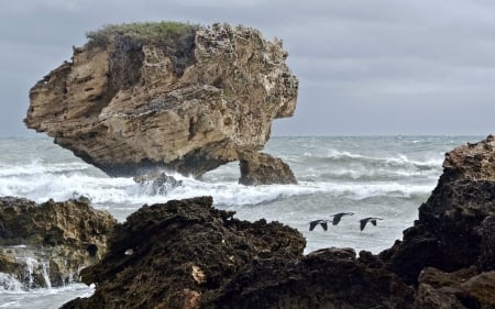 Rocky Beach at Peron, Rockingham, West Australia - nature, rock, beach, australia