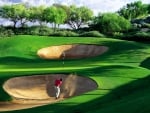 A Serene Scene on a Golf Course