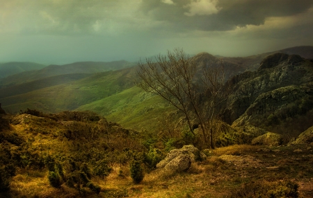 Splendor - nature, splendor, mountains, trees