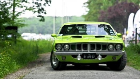 1971 Plymouth Barracuda - Muscle, Car, Barracuda, Plymouth, Old-Timer