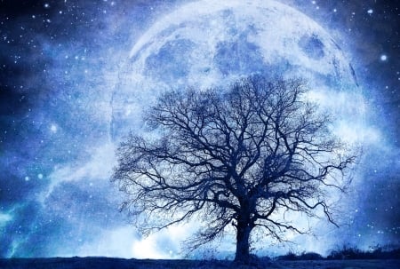 Magnificent full moon - moon, blue, night, tree, black, fantasy, full moon, luminos, luna