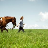 Cowgirl Dreams