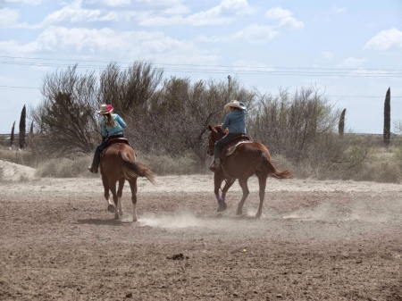 Cowgirl Horse Race - style, girls, western, women, models, hats, ranch, cowgirls, horses, rodeo, fun, female, boots, fashion