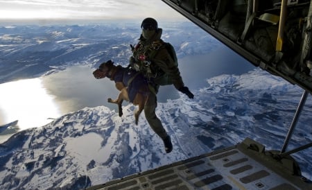 'Here We Go' - dogs, free fall, parachutes, sky diving