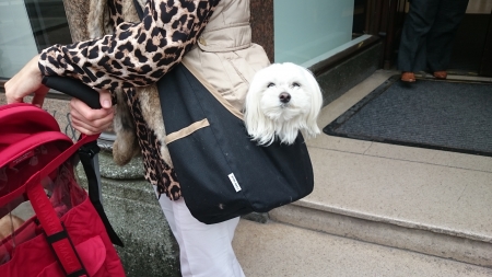 Puppy Handbag - Puppy, Dog Lovers, Shopping, Handbag