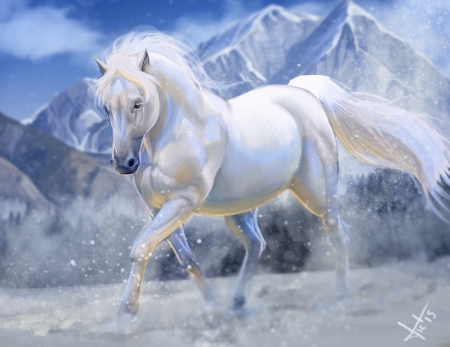 Horse - run, drawing, white, horse