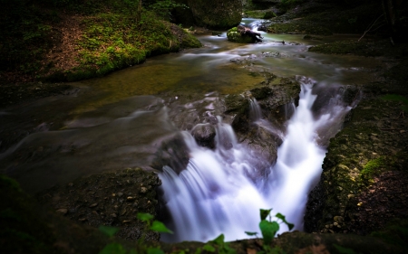 Forest Waterfall - nature, forest, waterfall, rocks