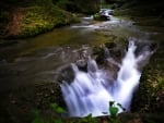 Forest Waterfall