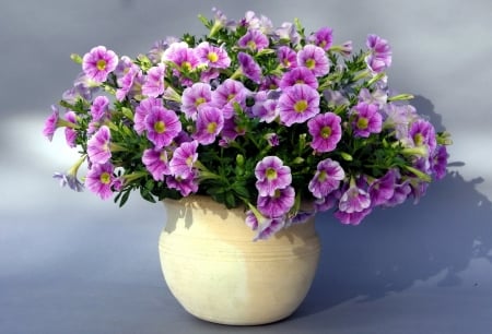 A pretty arrangement - vase, flower, purple, nature