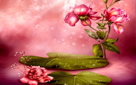 Pretty in pink - flower, petal, nature, pink