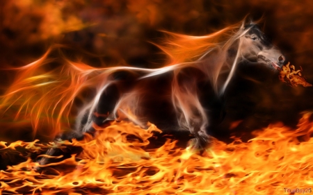 Fractal horses - fire, run, art, horse, fractal