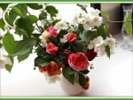 lovely roses and jasmine flowers