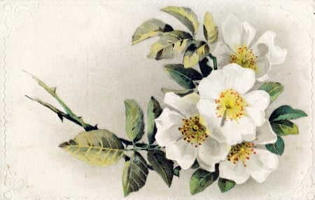 Happy Spring! - white, card, flower, vintage, spring, blossom, yellow, green