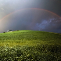 Rainbow over the green hill