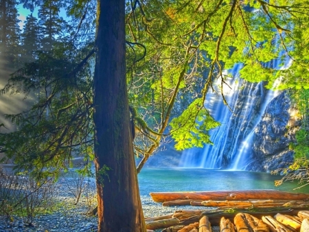 Waterfall - lake, waterfalls, forest, log