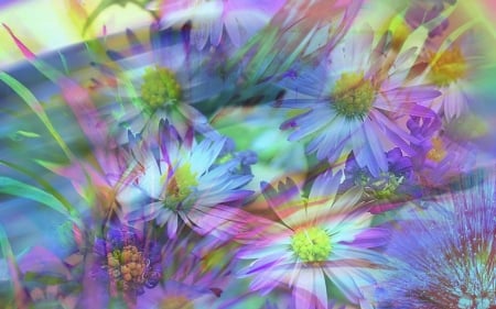 Digital Flowers - daisies, artwork, colors, blue