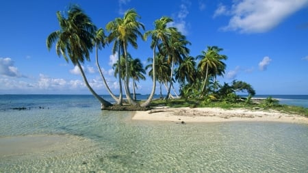 Beautiful - sky, palm, sea, island