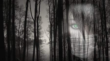 Silent Forest - woman, trees, mask, collage, mystical, goth, black and white, gothic, forest, woods, silence, overlay