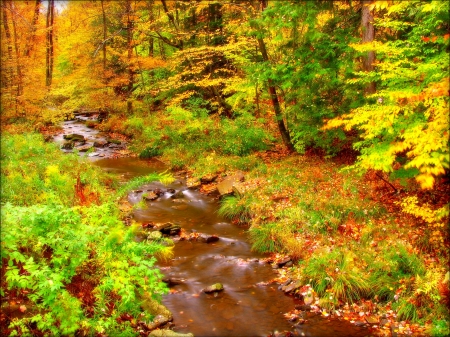 AUTUMN - nature, branches, streams, autumn, trees, leaves, enchanting nature, rocks