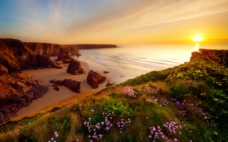 Sea coast - rays, slope, beach, sunshine, sky, sunlight, sun, sunset, coast, beautiful, flowers, sea, sunrise