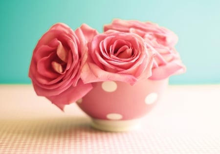 Pink roses - blue, bowl, rose, flower, pink, dot