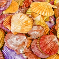 Shells