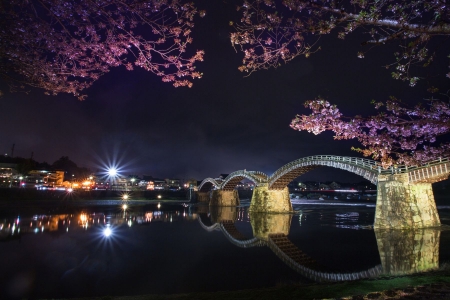 Bridge in Iwakuni, Japan - river, blossoms, Spring, lights, city, night, tree