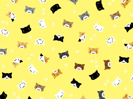 Cats - beauty, background, black, white, abstract, yellow, beautiful, cats, sweet, cute