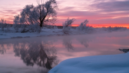 Sunset winter - winter, trees, sunset, snow