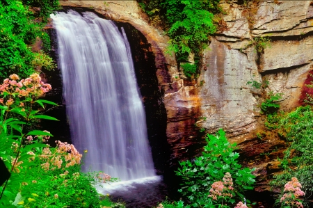 Rocks waterfall - fall, forest, beautiful, flowers, waterfall, rocks