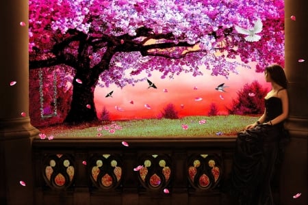 Cherry Blossom - nature, blossom, cherry, sunset