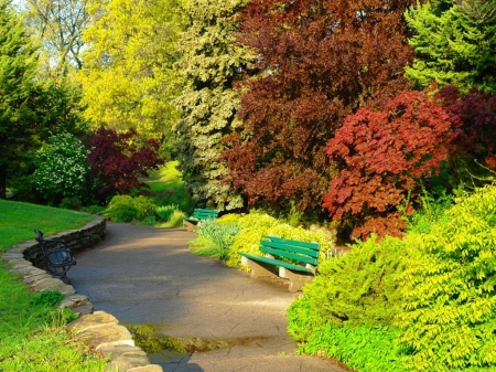 Green Park - garden, forest, trees, park