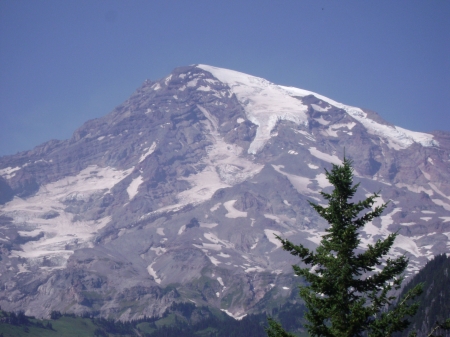 Mt. Rainier - volcano, nature, mountain, sunny, tree