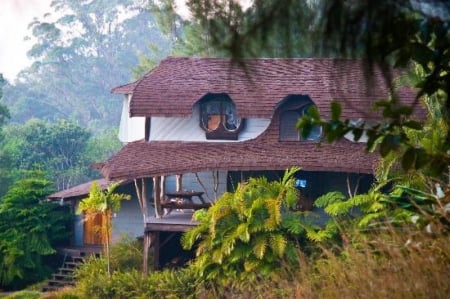 Eco house in the woods - mica, padur, eco din, casa