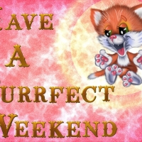 PURRFECT WEEKEND