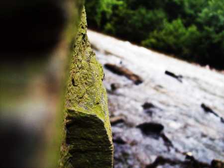 Contrastation - river, trees, water, zoom, focus, blurry, distance, contrast