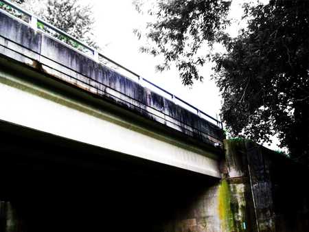 Layered Creation - white, trees, concrete, black, bridge, corroded