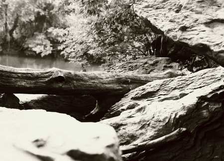 Through the Sepia - rocks, water, awesome, sepia, trees