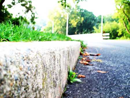 Walk Side - pavement, cirb, side, walk, leaves